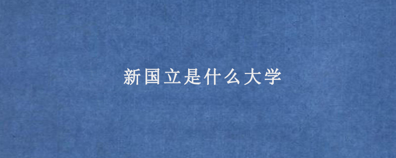 新国立是什么大学
