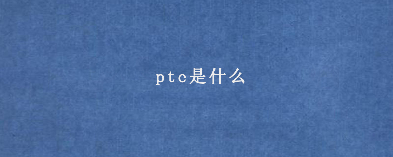 pte是什么