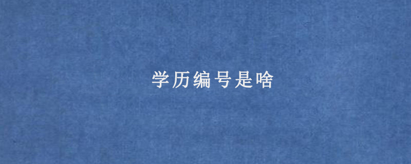 学历编号是啥
