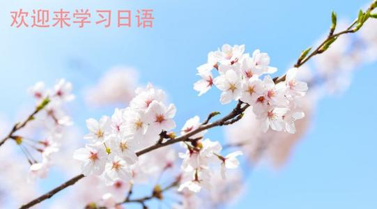 济南出国留学日语培训班哪家好