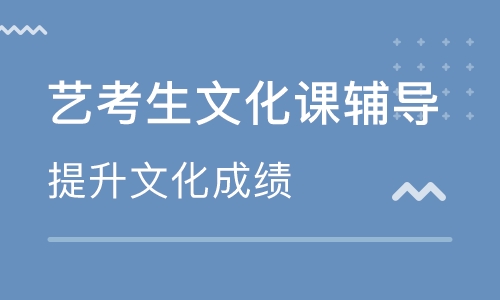 泉州实力强的艺考生文化课集中补习班一览