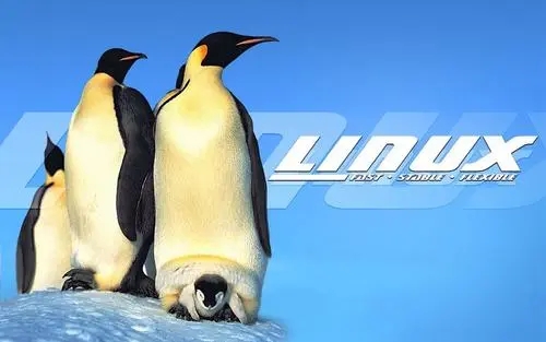天津哪家Linux培训机构比较靠谱