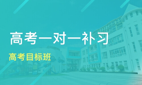 承德一对一高考冲刺辅导机构推荐