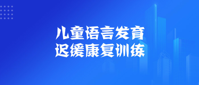 武汉儿童语言发育迟缓去哪家训练