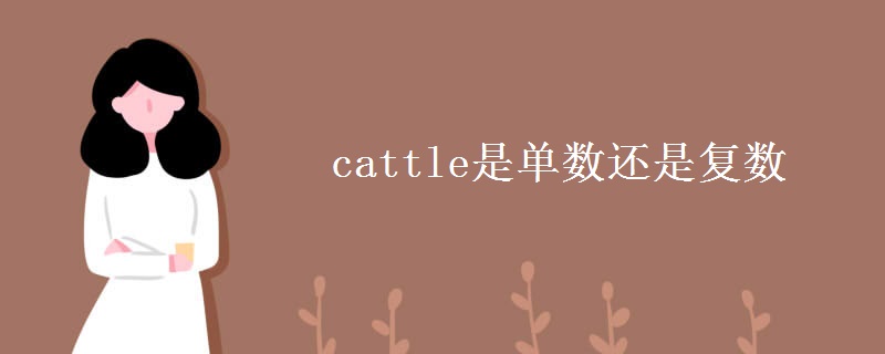 cattle是单数还是复数
