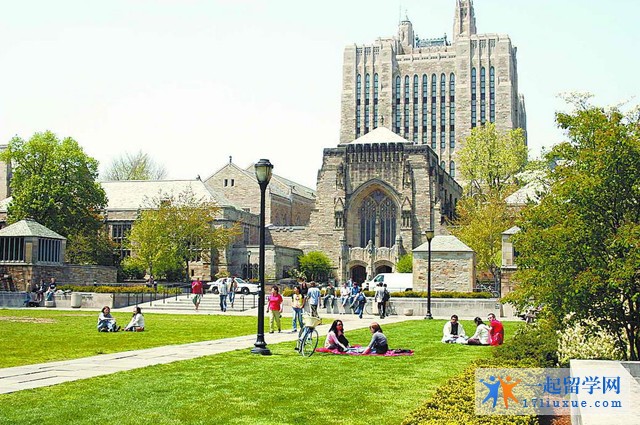 美国大学