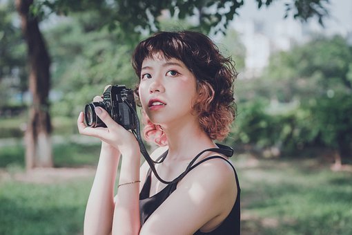 女子, 相机, 摄影师, 工具, 设备, 树, 叶子