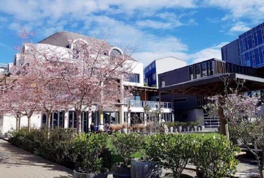 大学