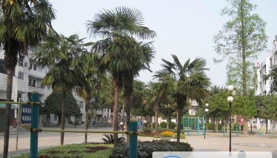 襄城职业高级中学怎么样、好不好