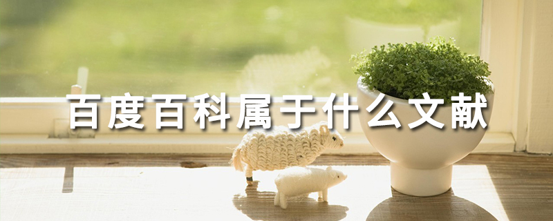 百度百科属于什么文献.jpg