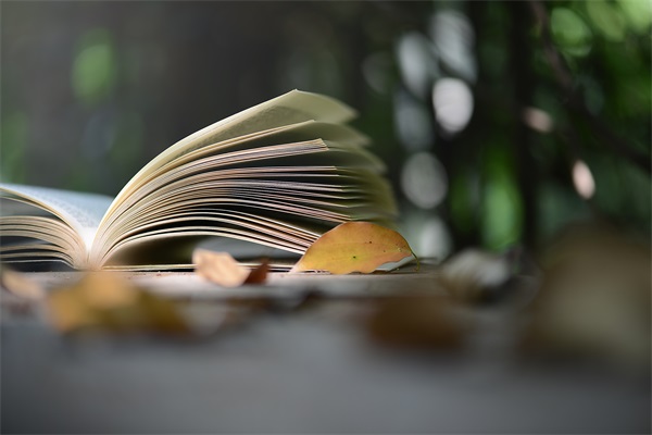 6种父母只会毁了孩子   这样的家长摧残孩子自信
