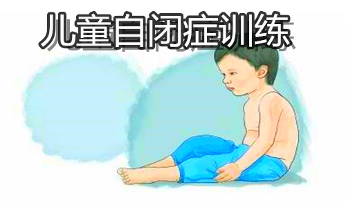 武汉好的儿童自闭症训练中心是哪家