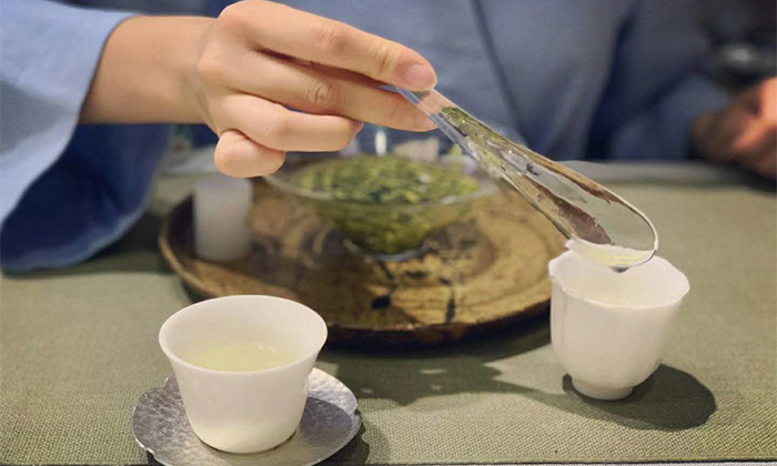 南京茶道茶艺师培训机构哪个好