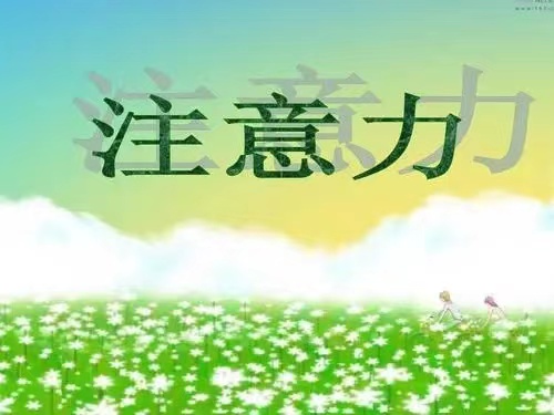 太原做儿童注意力提升的机构哪家好