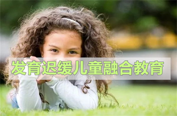 武汉全面发育迟缓上什么学校