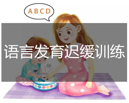 长沙专业的儿童语言康复培训班推荐