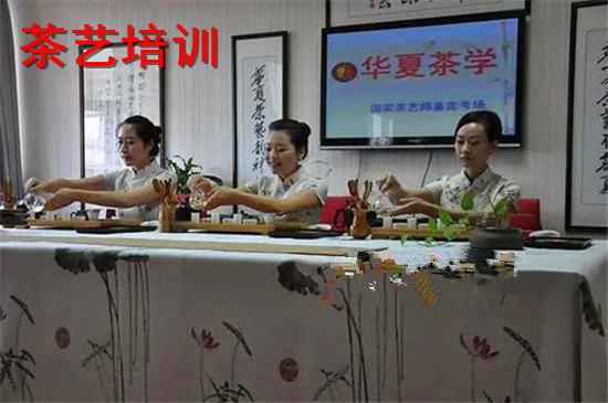 成都专业学茶艺的培训机构名单公布
