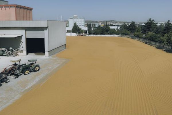 【2023年河北初级消防员报考条件】