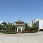 {$COM[company]