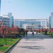 {$COM[company]