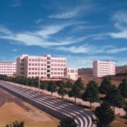 {$COM[company]
