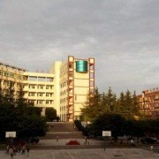{$COM[company]